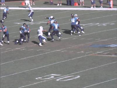 Jaguars_12