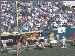 Jaguars_2