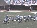 Jaguars_3