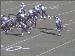 Jaguars_5