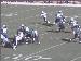 Jaguars_6
