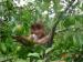 Skytop Orchard_4