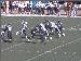 Jaguars_10