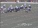 Jaguars_11