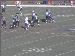 Jaguars_12