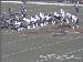 Jaguars_15