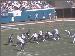 Jaguars_25