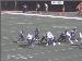 Jaguars_26