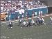 Jaguars_28