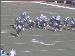 Jaguars_36