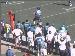 Jaguars_39