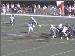 Jaguars_41