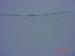 Salt Lake2_9